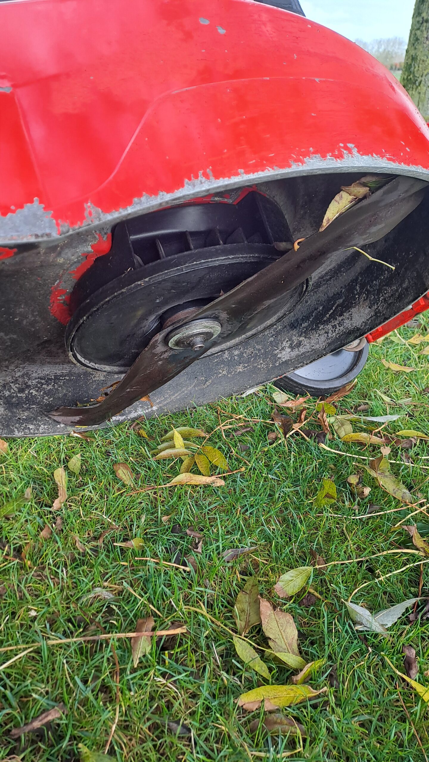 SABO 54 vario - 23068 (2)